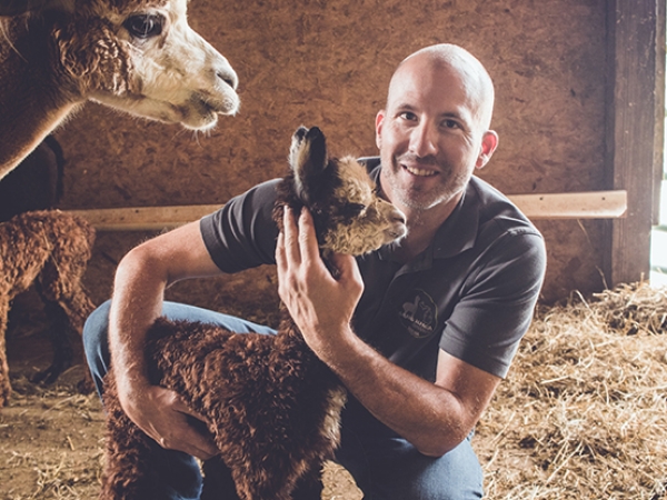Read more about the article Grand Alpaca Company